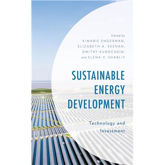 Sustainable Energy Development: Technology and Investment (Environment and Society) - 1