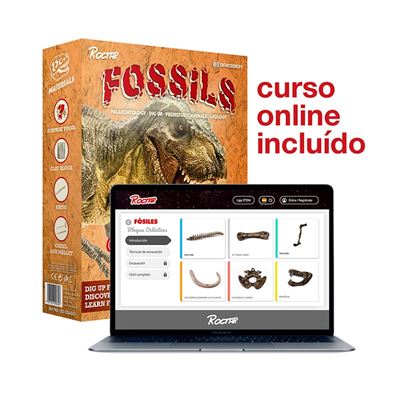 Dinossauros Ao Raio X - Jogos de Descoberta - Compra na