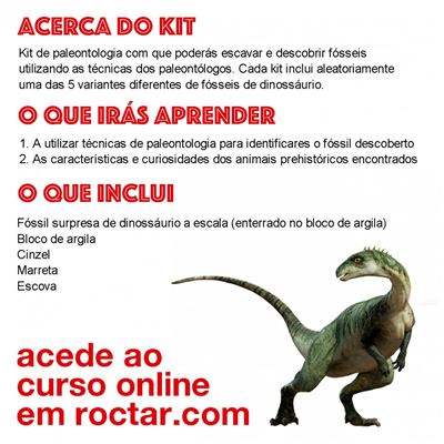 Jogo Dinossauros Ao Raio X Headu