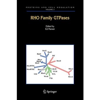 RHO Family GTPases - Paperback - 2010 - 1