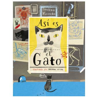 Así Es El Gato - 1