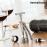 Conjunto de Acessórios para Vinho com Saca-rolhas Screwpull InnovaGoods (4 Peças)_0