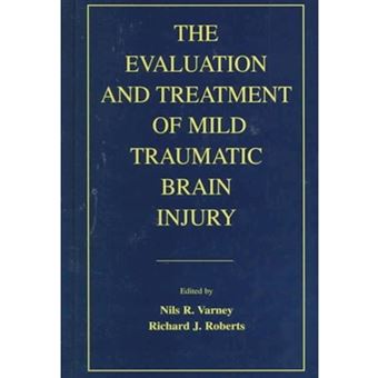 The Evaluation and Treatment of Mild Traumatic Brain Injury - Hardback - 1999 - 1