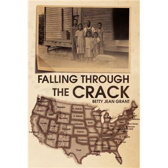 Falling Through the Crack - Paperback / softback - 2008 - 1