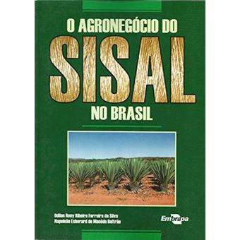 O Agronegócio do SISAL no Brasil - 1