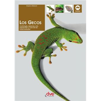 Los Gecos - 1