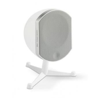 Focal Bird - 1
