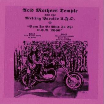 Born to Be Wild in the USA 2000 - 1