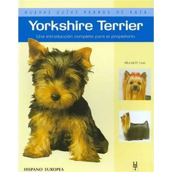 Yorkshire Terrier - 1