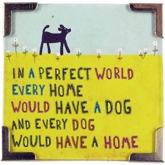 Íman Natural Life | In A Perfect World - 1