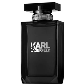 Perfume Karl Lagerfeld Pour Homme Edt Spray 100ml - 1