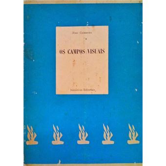 Os campos visuais. - 1