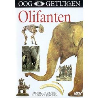 Olifanten - 1