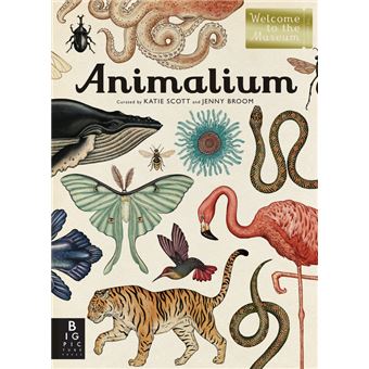 Animalium - 1