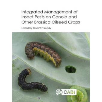 Integrated Management Of Insect Pests On Canola And Other Brassica Oilseed Crop - 1