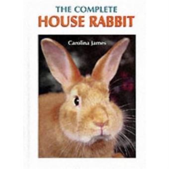 The Complete House Rabbit - [Version Originale] - 1