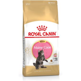 Comida seca para gatos royal canin maine coon kitten gatinho aves, arroz 400 g - 1