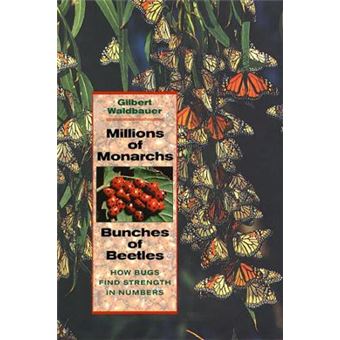 Millions of Monarchs, Bunches of Beetles - How Bugs Find Strength in Numbers - Paperback - 2001 - 1