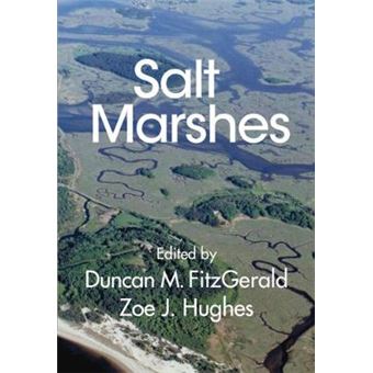 Salt Marshes Function, Dynamics, And Stresses - 1