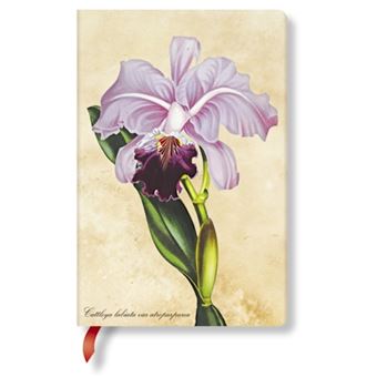 Brazilian Orchid Mini Unlined - 1