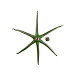 Figura Gargantos Marvel Legends Series Gamerverse