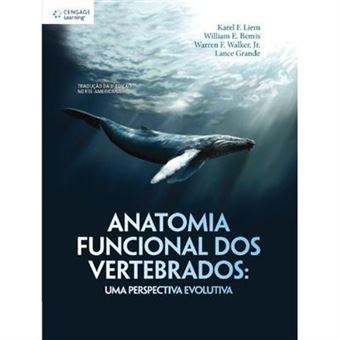 Era Da Esperanca - 1