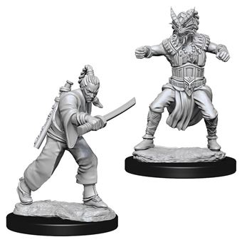 D&D Nolzurs Marvelous Miniatures - Male Human Monk (EN) - 1