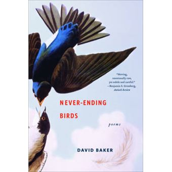 Never-Ending Birds - Poems - Paperback - 2011 - 1