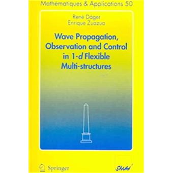 Wave Propagation, Observation And Control In 1-D Flexible Multi-Structures - 1