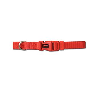 Coleira para Cão Nayeco Basic Nylon 20 mm x 40-55 cm Vermelha - 1