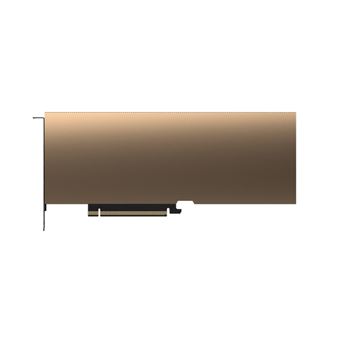 Placa de Vídeo PNY A40 | Bege - 1