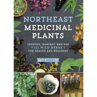 Northeast Medicinal Plants Identify, Harvest, And Use 111 Wild Herbs For Health And Wellness - 1