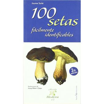 100 setas fácilmente identificables - 1