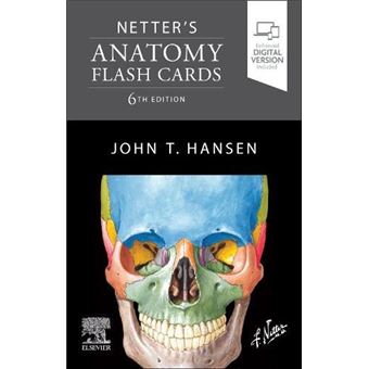 Netters Anatomy Flash Cards - 1