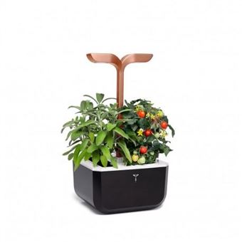 Horta Urbana Véritable EXKY | Smart Cooper Edition - 1