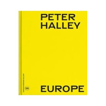 Peter Halley By Editions Skira Paris - 1
