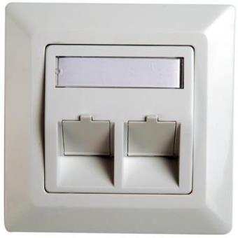 Telegärtner Frame for RJ45 adaptor Cat.5e, 45° outlet, double, 80x80 mm, alpine white - 1