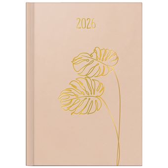 Pocket Brunnen Monstera | Bege - 1