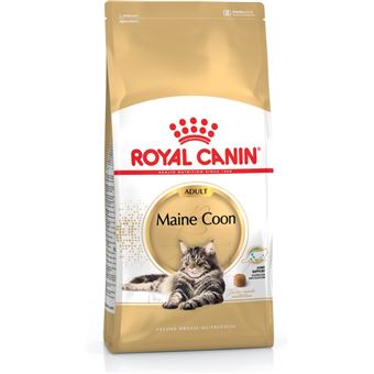 Comida seca para gatos royal canin maine coon adulto 4 kg - 1