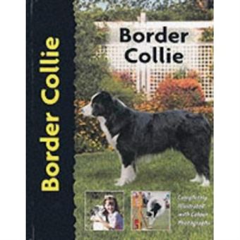 Border Collie (Pet Love) - 1