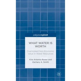 What Water is Worth - Overlooked Non-Economic Value in Water Resources - Hardback - 2013 - 1