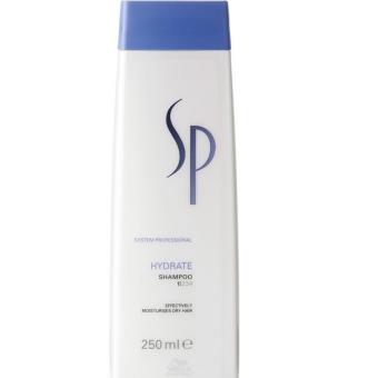 Shampoo Wella System Professional Hydrate Champu 250Ml - 1