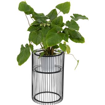 Suporte de Planta Kare Design Wire Black 57 cm - 1