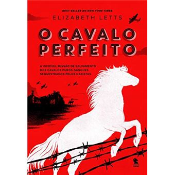 O cavalo perfeito - 1