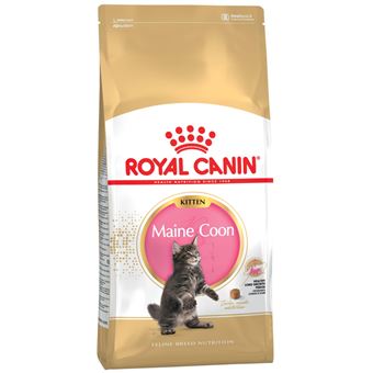Comida seca para gatos royal canin maine coon kitten gatinho aves 2 kg - 1
