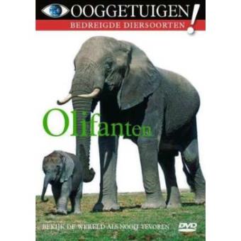 Ooggetuigen  Olifanten - 1