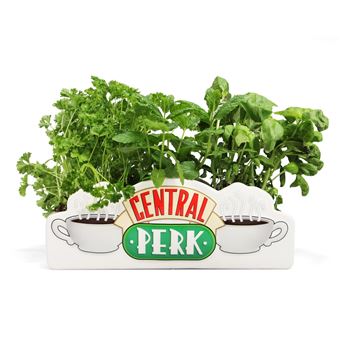 Vaso de Mesa Friends – Central Perk - 1