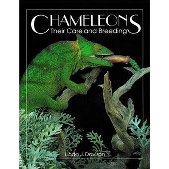 Chameleons : Their Care and Breeding - 1