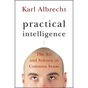 Practical Intelligence - The Art and Science of Common Sense - Hardback - 2007 - 1