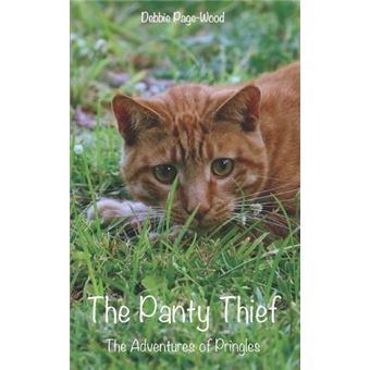 The Panty Thief The Adventures Of Pringles - 1